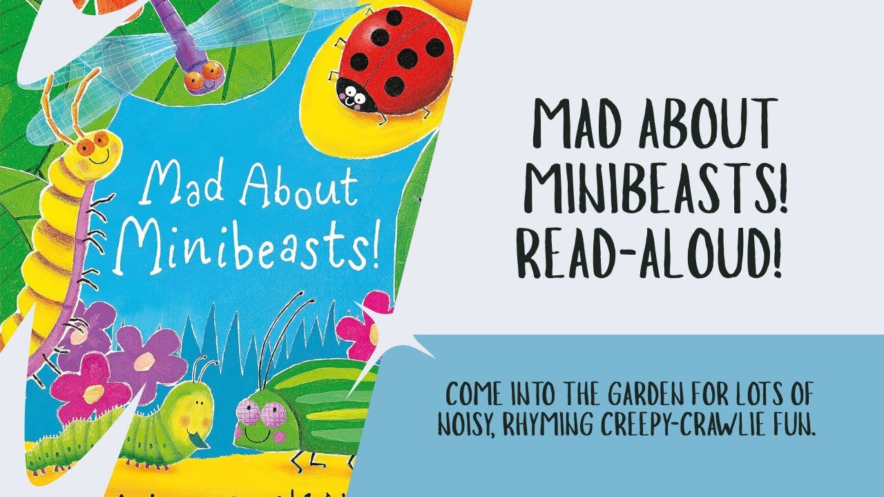 🐞 Mad About Minibeasts | Read Aloud for Kids | Fun Bug Storytime Book