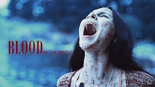 RYN | Blood in the water [Siren]