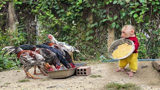 Max enliste Takes Care of the Chickens when Dad work