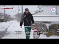 Hokkaido's guide dogs learn to navigate snowーNHK WORLD-JAPAN NEWS
