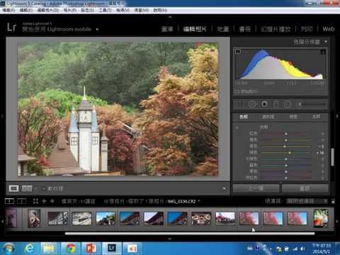 Lightroom基礎修圖-HSL