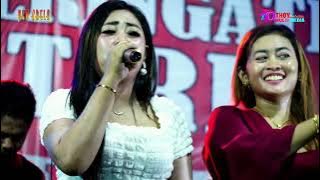 ALL ARTIS NYA NEW ARELA