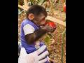 Funny Naughty Monkey Playing Around 🐒 | Cute Baby Monkey Viral Short | Naughty Monkey TV