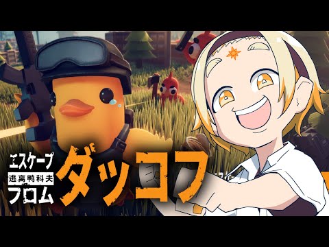 【エスケープフロムダッコフ】🌞流行りすぎてる神ゲーで遊ぶ!!!🌞【善額サンパロー】 video thumb