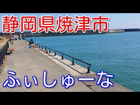 静岡 港 おすすめ