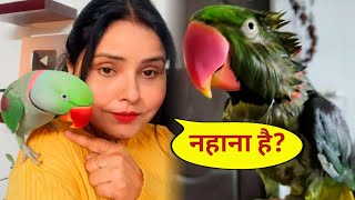 Parrot Pablo Ko Laga - नहाने का चसका