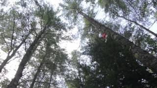 Monkey Trunks Courses