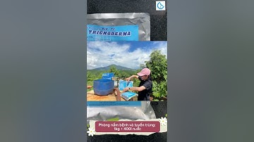 CÔNG DỤNG CỦA NẤM TRICHODERMA TRONG NÔNG NGHIỆP #shorts