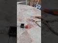 Salto de diferencial esporádico.
