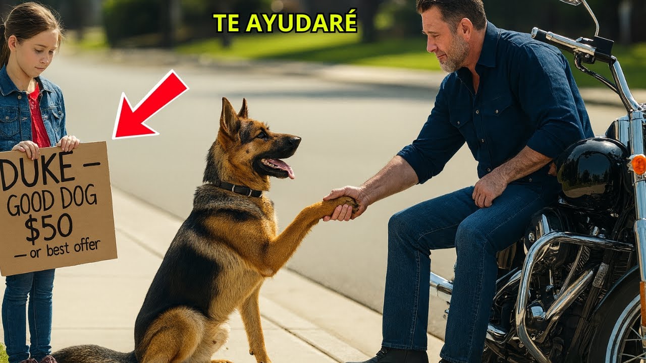 “Cómpralo, señor… mi mamá está a punto de morir.” Los motociclistas descubrieron quién le quitó todo