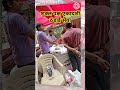 शुक्ल पक्ष एकादशी ठंडाई सेवा मुनिरका गांव नई दिल्ली