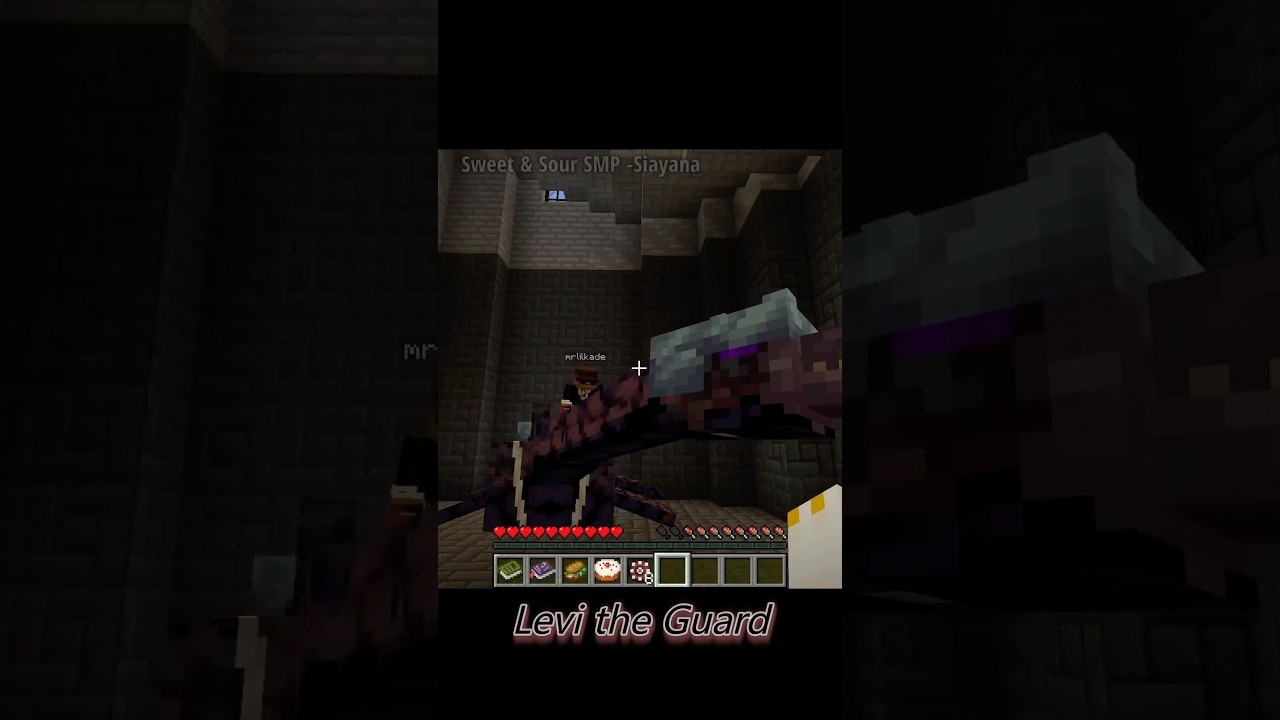 Levi the Guard             [Sweet & Sour SMP] 