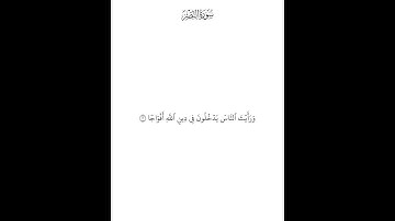 سورة النصر — محمد صديق المنشاوي