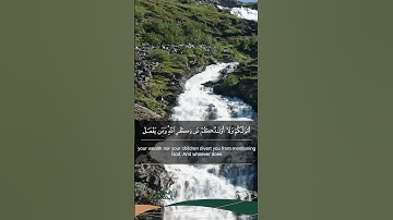 ما تيسر من سورة المنافقون ( ٩ ) - تلاوة خاشعة