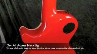 Feline Guitars Red LIon an overview