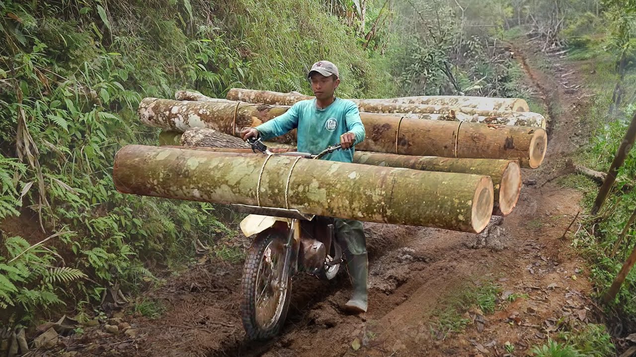 Allison Logging - Coastal Logging in the early 20th Century