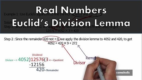 Real Numbers: Euclid