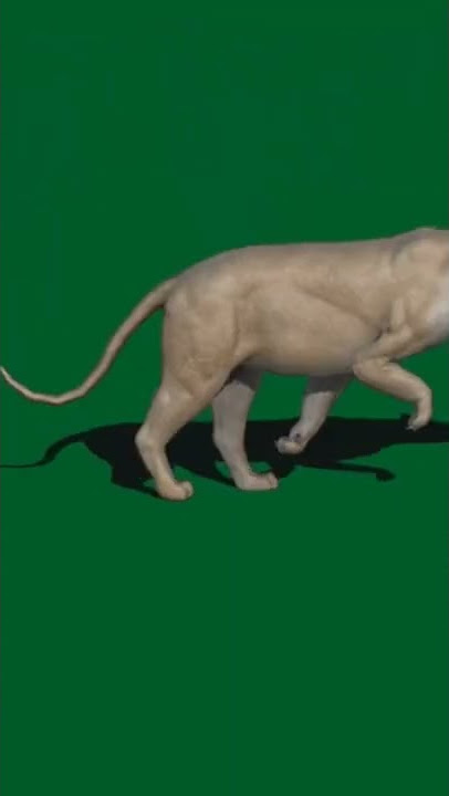 animal green screen #viralvideo #shorts #video