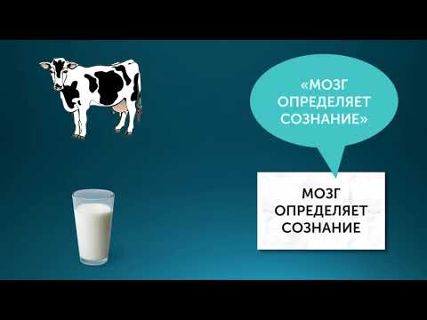 Сознание и мозг. Дополнение к видео про эксперимент Либета