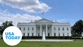 Meet the long-shot candidates in the crowded 2024 presidential field | USA TODAY