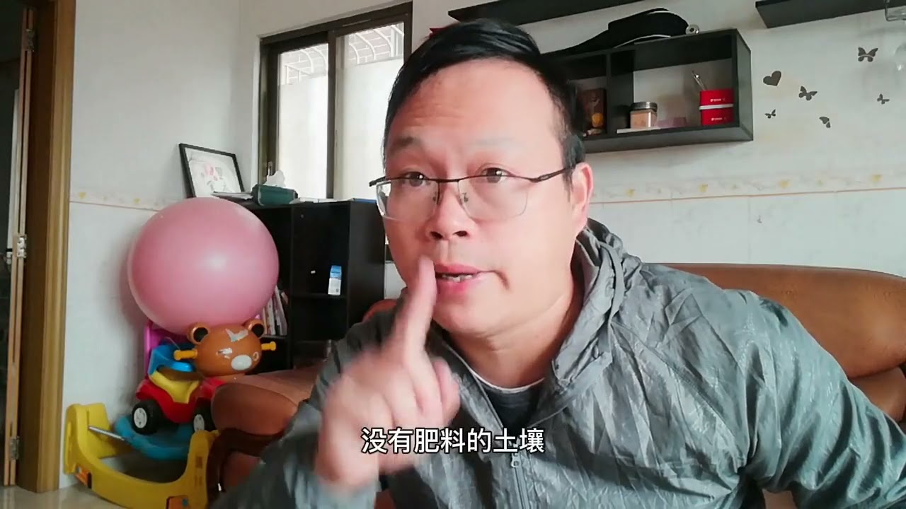 盆栽花卉“僵苗”怎么办？别急，教你5招