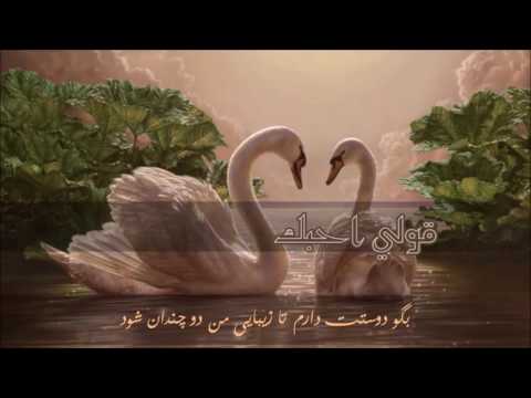 آهنگ عربى قولي احبك زیرنویس فارسی كاظم الساهر