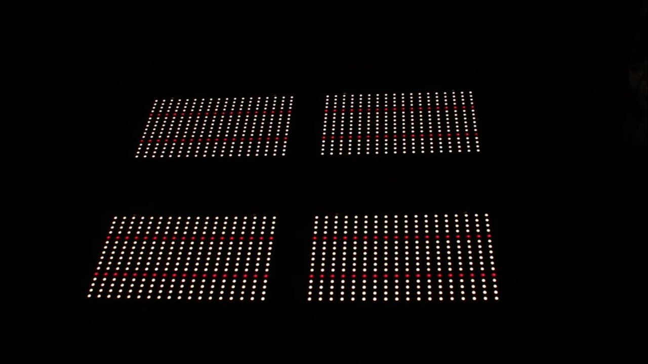 MIMOSA EVO PLANTED! // 4x4 INDOOR GROW ROOM