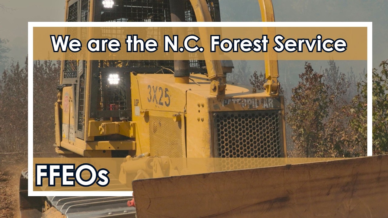 We Are The Forest Service: FFEOs