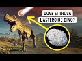 Risposte alle Domande che Ci Rubano il Sonno