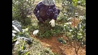 Bocah Koplak Bejad....