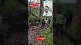 vattavada tracking mini vlogs -6 #viralvideo #kerala #travel #travelling #tracking #shorts #viral