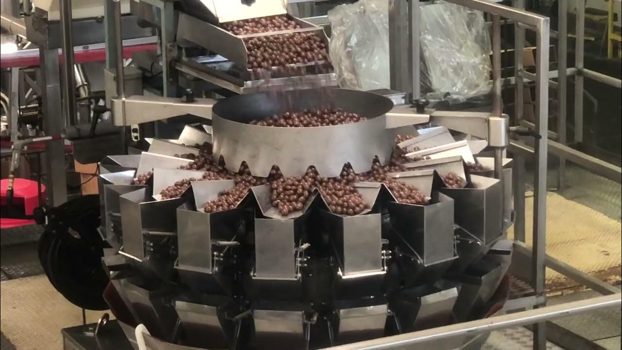 Macadamia Nut Factory YouTube