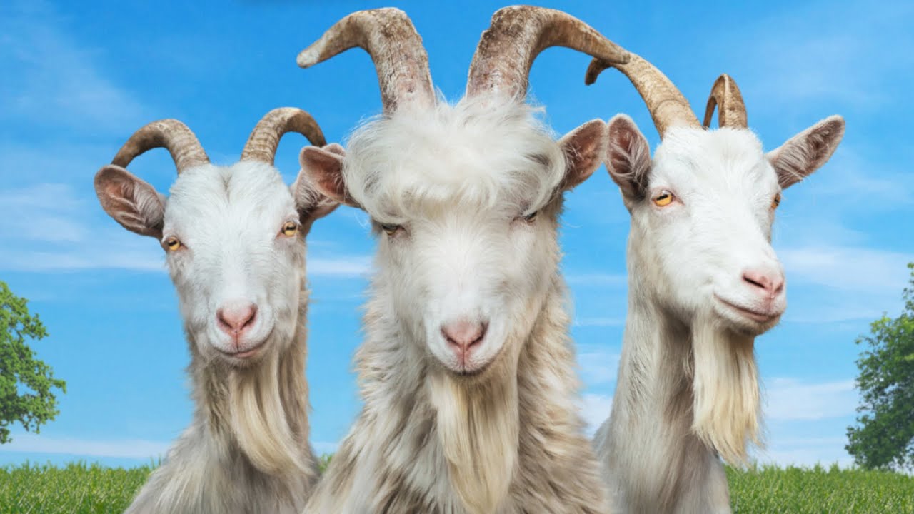 Goat Does Some Awesome Tricks