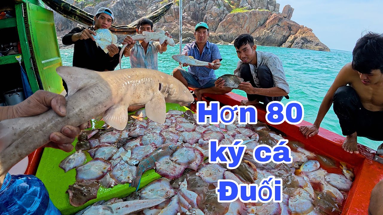 Có 2 Cờ Lưới Không Ngờ Dính Gần 100kg Cá Ở  Cà Mau