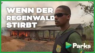 Illegal! Gefährlicher Einsatz im Amazonas