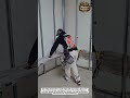 Perfect Metal Stud Framing With Laser Level Precision Method