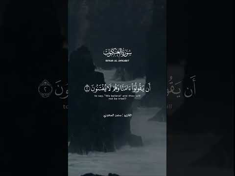 الم أحسب الناس أن يتركوا أن يقولوا آمنا وهم لا يفتنون القارىء محمد السعدني