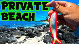 Live Bait Does The Trick | Shoreline Fishing in Hawaii | Hawaii Fishing | Omilu Papio | Oama Bait
