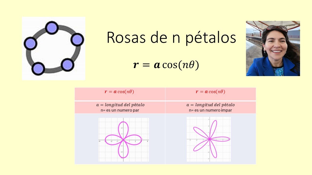 Matematica Rosa Graficando rosas de n pétalos usando Geogebra - YouTube