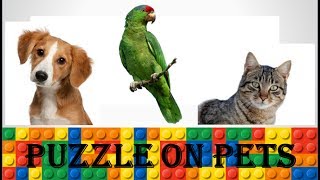 Tough Pets Puzzle | 2 Equation 3 variable. screenshot 4