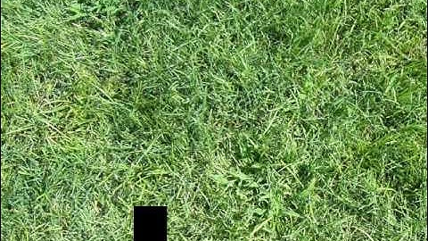 My First XNA Gam...  I meant,  random thing.