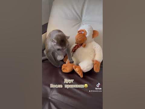 Читен друган - YouTube