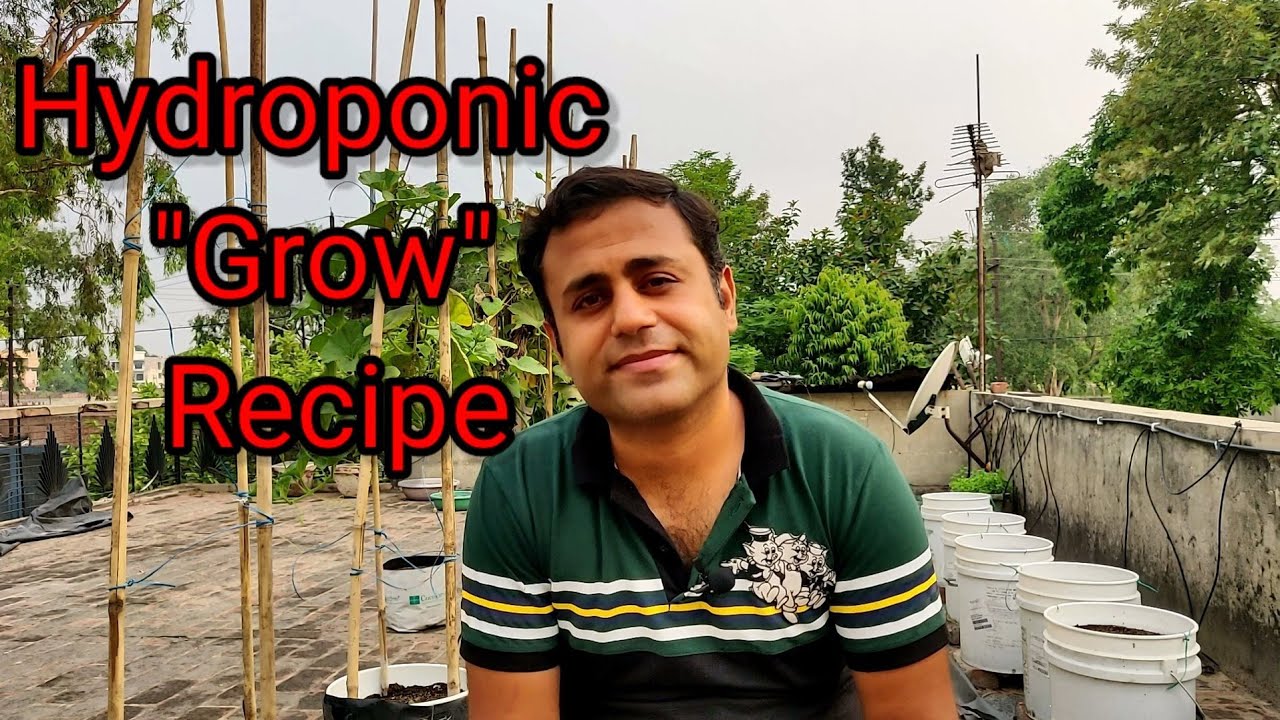 Hydroponic Recipe for Vegetative Growth