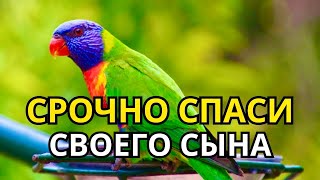 видео: 🔑Повторите эту молитву и ваш СЫН будет под защитой! Лучшие молитвы, слушать минимум один раз в день! картинка: 🔑Повторите эту молитву и ваш СЫН будет под защитой! Лучшие молитвы, слушать минимум один раз в день!