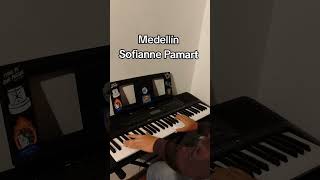 Medellín - Sofiane Pamart #piano #musica