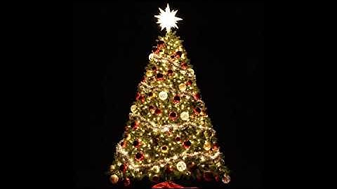 Christmas Tree Projection Mapping Video 1