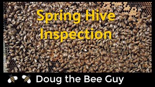 Spring Hive Inspection