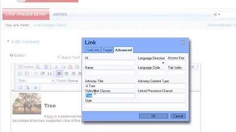 Live Images - Demo | DotNetNuke Module | Mandeeps.com
