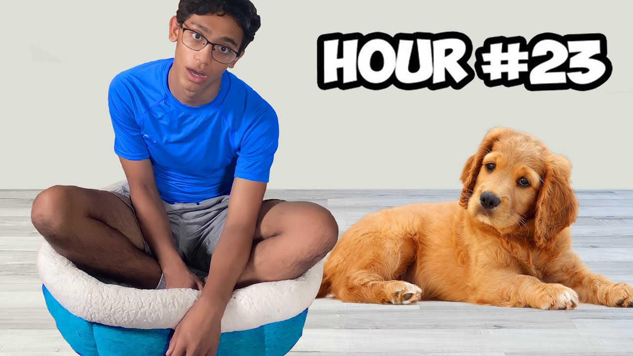 I Spent 24 Hours in The Worlds Smallest Dog Bed