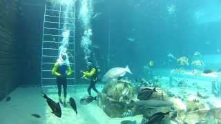 Sea TREK Go Pro Video in Atlantis the Palm, Dubai